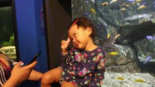 Family Tour - Aquarium of Niagara, New York