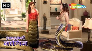 Bhayanak Saap Ki Achanak Entry Ghar Mein | Best Of Icchapyaari Naagin | Naagin Tv Show