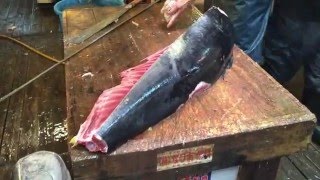 東京築地 マグロ解体ショーダイナミックな作業です。