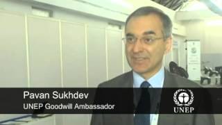 Environmental Economist Pavan Sukhdev Named New UNEP Goodwill Ambassador