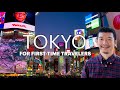 TOKYO Travel Guide - How to Succeed Your Very First Trip to Tokyo