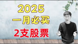 2025 一月必买2支股票！