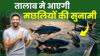 मछली पालन का सारा खेल बदल देगा सही बीज का चुनाव || Machli palan ka tarika