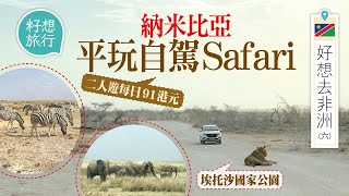 非洲納米比亞—自駕Safari入場費每日$100有找 國家公園搵黑犀牛16,000年歷史非洲最大鹽沼 #籽想旅行─果籽 香港 Apple Daily─原刊日期：20201230