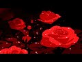 summer walker & drake - girls need love﹝slowed + reverb﹞