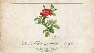 Roses Downy Mildew Review