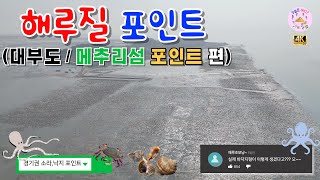 해루질 포인트 지형영상 (대부도 / 메추리섬 포인트) #경기권 #영흥도 #소라 #낙지