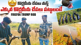 కొర్రమీను చేపలు మస్త్ | ఎక్కువ కొర్రమీను చేపలు పట్టాలంటే| Firefox Trump rod #Asjfishing#fishing