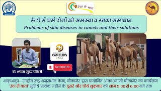 ऊँटो में चर्म रोगों की समस्या व उनका समाधान _Problems of skin diseases in camels and their solutions