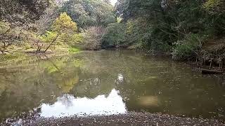 立田山自然公園（泰勝寺跡）