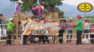 FIESTAS SAN JUAN DE AMULA 2017