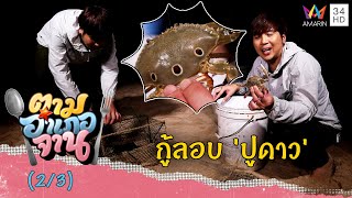 กู้ลอบ 'ปูดาว' ริมหาด ตามวิถีคนบ้านไม้ขาว | ตามอำเภอจาน | 29 เม.ย.66 (2/3)