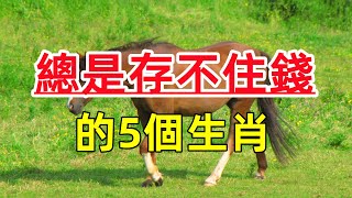 總是存不住錢的5個生肖，花錢大手大腳，幸虧有財運，命中不缺錢！