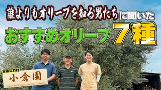 【120種から厳選】日本屈指のオリーブ生産者さんオススメの「神」オリーブ7種！