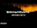 Nicky Genius ft Holy Ten - Waimboshaina  (Lyrics)