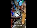 வாகைபதி chenda_melam அய்யாவழி ayyavaikundar ஆதியே_சரணம் ayyavazhi vagaipathi