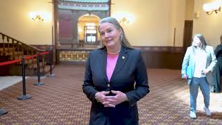 Sen. Sue Shink on the Michigan Green Amendment