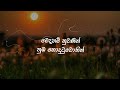 විසිරුනු මල් පෙති visirunu mal pethi lyrics athula adhikari