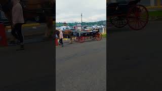 #Horse cart#beautiful #halifax #canada #