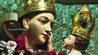 St  Antony's Shrine (Mettuguda)  | HOLY MASS(Manapandugalu) | Divyavani TV