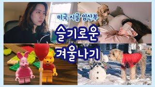 겨울에도 잘 놀아요☃️ 미국 임산부(16주) 슬기로운 미주리 시골 생활 MijooLog#50