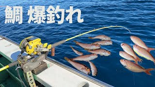 【甘鯛釣り】自然の恵みを感じながら船釣りを楽しんできました【小田原早川漁港】