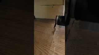 laminate floor cutting with bosh Multitool