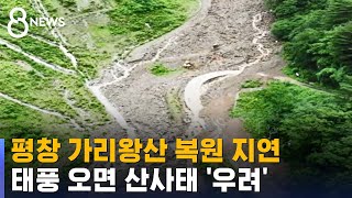 복원 미뤄오던 가리왕산에 결국 수해…\