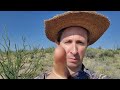 erosion from this monsoon season @timeline ranch far west texas off grid desert homestead