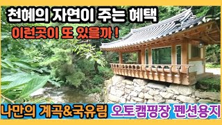 정자설치비용만 1억원 /여기가무릉도원/ 영구사용가능한 계곡물과 국유림속의 폭포연못 / 400고지 산골짜기 소나무숲 아래 / 오토캠핑장 / 펜션 /체험학습장 용지 (충북제천봉양토지)