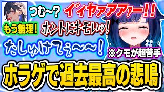 【面白まとめ】苦手なクモに追い掛け回されて過去最高の悲鳴と絶叫を上げるこかげちゃんｗｗ【ぶいすぽ/切り抜き/紡木こかげ/一ノ瀬うるは/小雀とと/甘結もか/Lethal Company/ホラゲー】