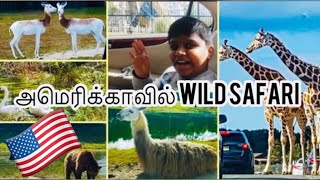 காரில் இருந்தே அமெரிக்காவில் உள்ள மிருகங்கள் பார்க்கலாம் வாங்க | Six Flags Safari RideIn New Jersey