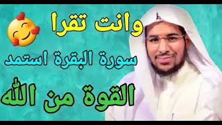 مَن يُحافظ على قراءة سورة البقرة لمدة طويلة متواصلة