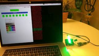 FadeCandy NeoPixels