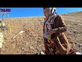 digging a cave and baking fire bread by a hardworking nomadic mother