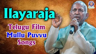 Ilayaraja Telugu Film Mullu Puvvu Songs \u0026  S.P. Balasubrahmanyam Jukebox Telugu Songs #rajshritelugu