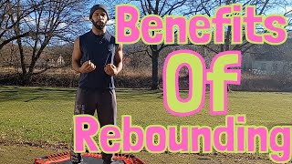 Benefits Of Rebounding