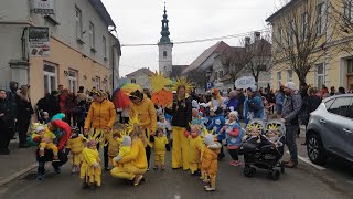 Pustovanje v Braslovčah