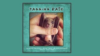 Tagging Bats