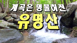 등산, 유명산계곡은 명불허전, 경기도 가평, 유명산주차장, 고프로촬영, relaxing climbing