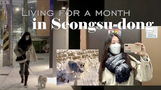 [성수동 한달살기] 자취 브이로그! 복층 오피스텔에서 보내는 일상 vlog, 눈 오는 날 의 가빈이들 두둥등장!성수 가볼만한 곳,성수연방,스모어쿠키만들기,블루보틀,쇼핑하울!