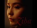 ziba s theme variation