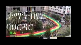 አርቲስትና አክቲቪስት  የሰባዊ መብት ተሟጋቹ አርቲስት ታማኝ በየነ በውቢቱ  ባህርዳር ከተማ ደማቅ አቀባበል