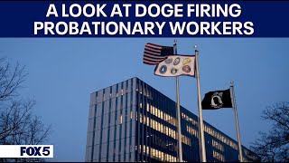 A look at DOGE firings of probationary workers