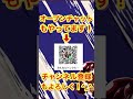 【トレクル】無課金の周回編成！実際の周回編成！vs カイドウ u0026ビッグ・マム！トレジャーマップ！トレマ！