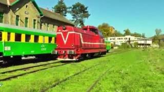 LDE1250   040 DF 69 0003 9 la Manevra Shunting in Gara Anina Station - HD