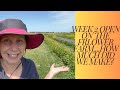 Week 2 Open Flower Farm Income Update, Did we make more money this week?!