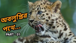 Meet Some Of The Worlds Most Endangered Animals In Bengali | অবলুপ্তির পথে  PART 01 | Janle Khoti Ki