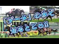 菊花賞2021【導き馬1頭】公開！阪神開催が味方する鉄板級に大注目