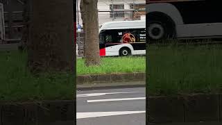 KVB Linie 141 e Bus Linie 142 Ohr Bus #köln #kvb #bus